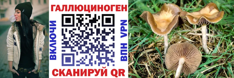дарнет шоп Арамиль Псилоцибиновые грибы Cubensis